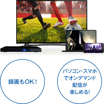 お申し込み後、BS-9chを選局するだけ!